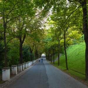 Bild Schlossberg Graz - Social Innovation Walk - Wandeltagung atempo